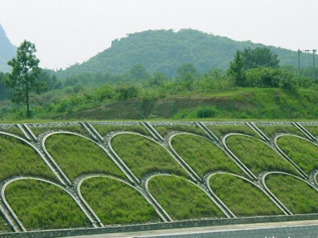 生命力頑強(qiáng)、耐踐踏又美觀的狗牙根草坪