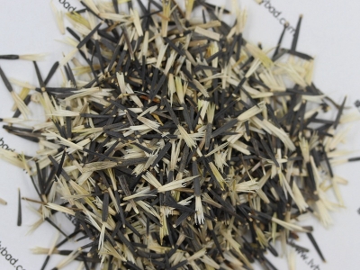 [孔雀草]孔雀草種子價(jià)格_圖片_播種方法