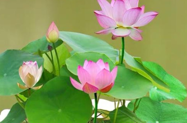 萬聯(lián)2.jpg