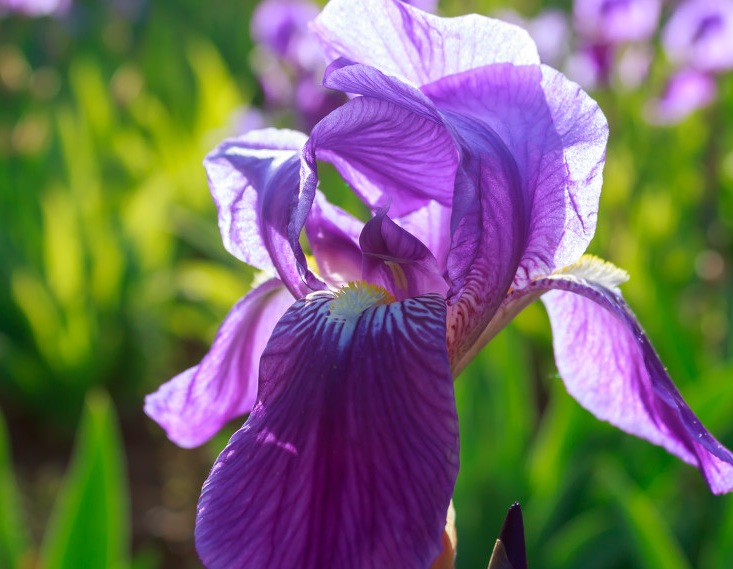 衛(wèi)華3.jpg